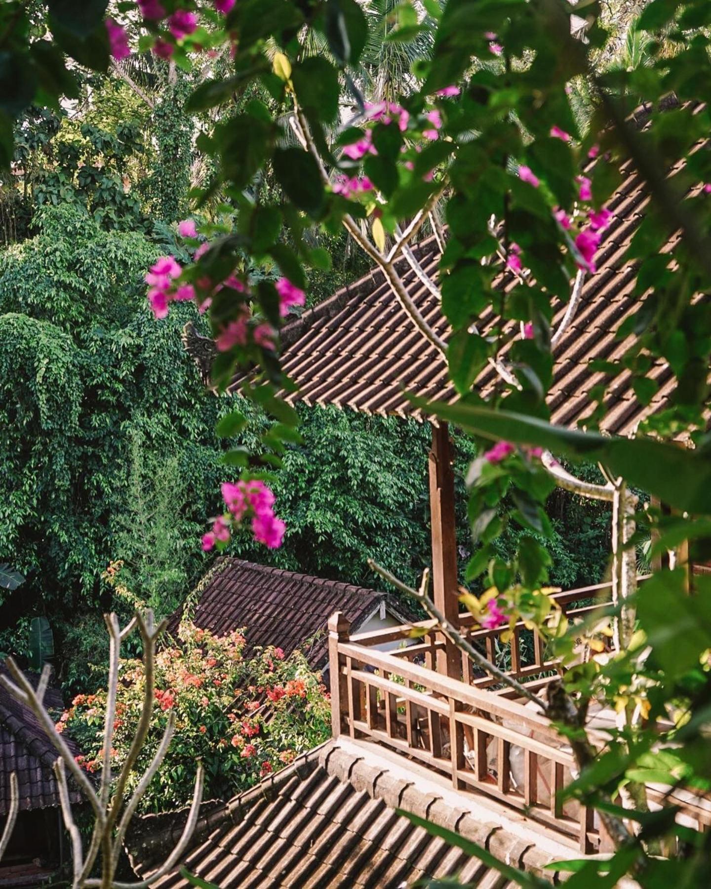 Down The Rabbit Hole Apartment Ubud  Luaran gambar