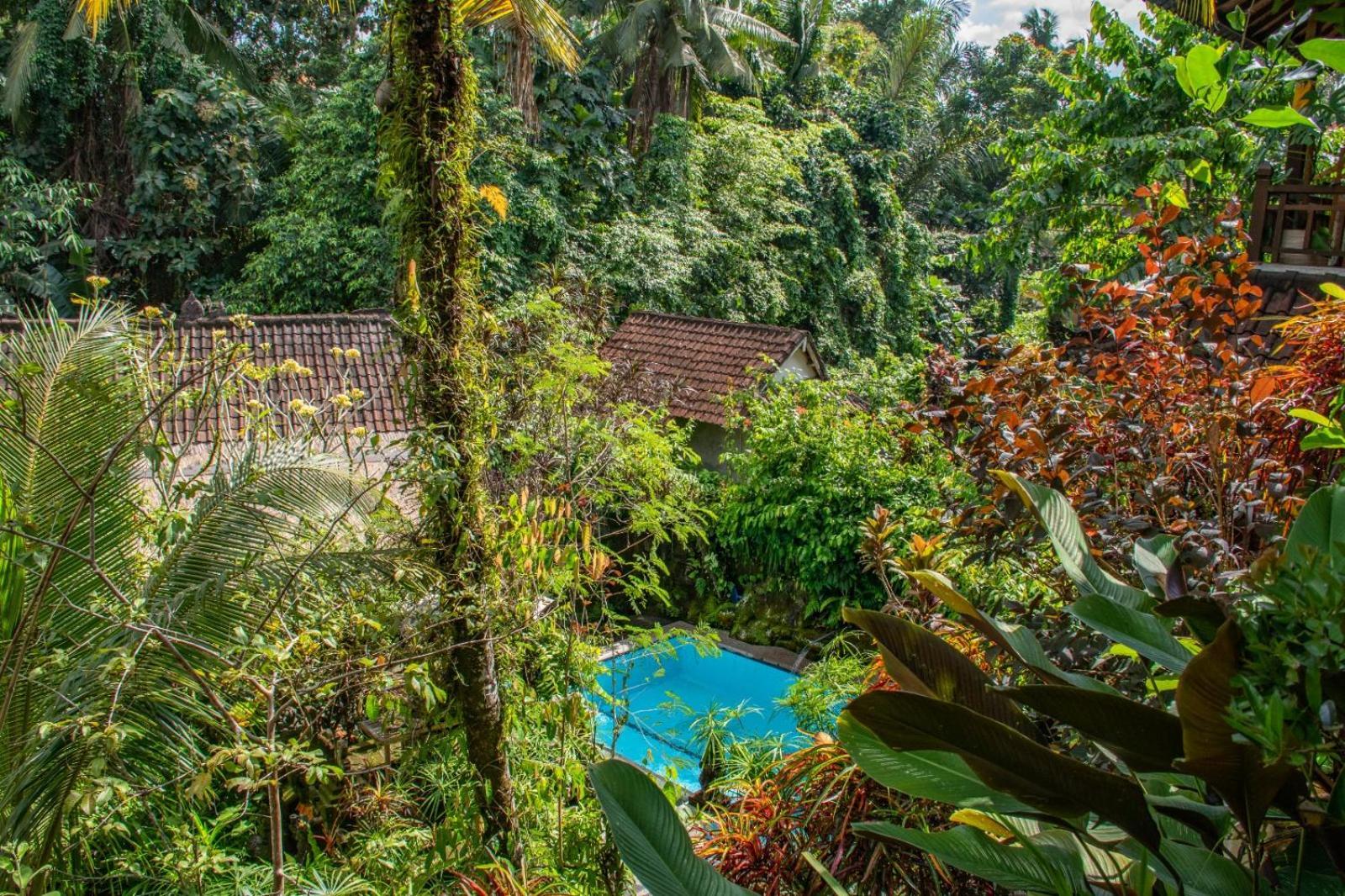 Down The Rabbit Hole Apartment Ubud  Luaran gambar